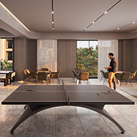 Indoor Games