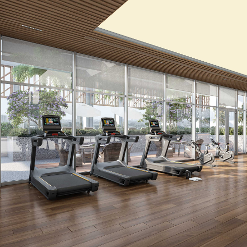 Gymnasium